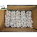 White Garlic/Fresh garlic price China/Natural garlic bulb